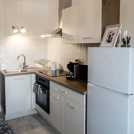 Apartment Le Beau Lucien, Climatise, Et Fonctionnel Bergerac